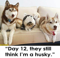 Day 12...