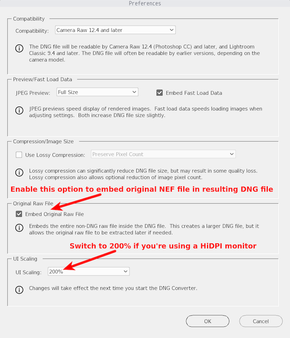 Adobe DNG Converter preferences window